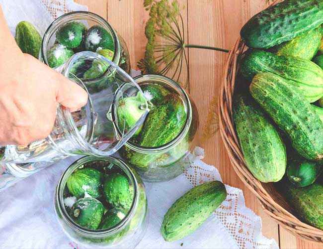 Fresh gherkins export in bulk from India