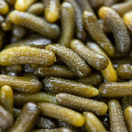 Gherkins in Brine vs. Gherkins in Vinegar